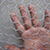 Chicken Wire Mesh