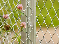 Two distinct processes of galvanized chain link fence