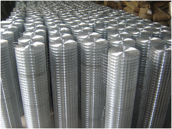 Galvanized Welded wire mesh