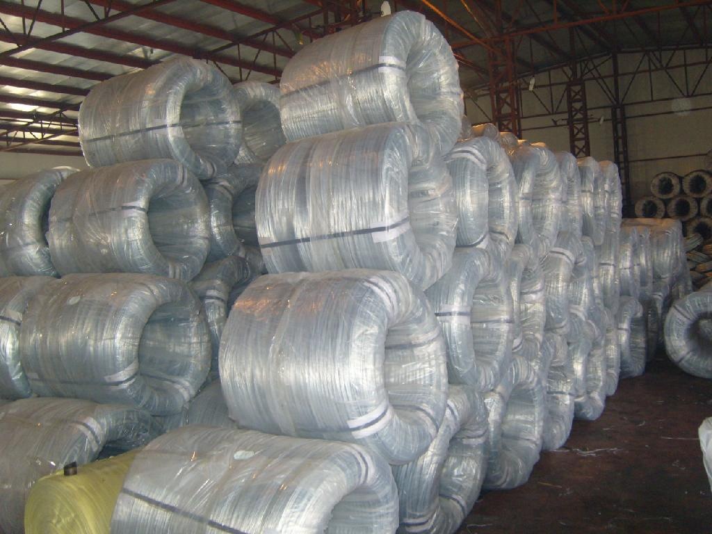 Where to buy galvanized wire?