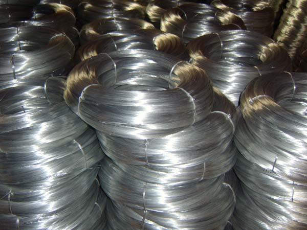 Coming to make purchases for galvanized wire in March Expo
