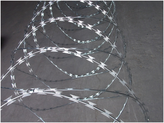 High quality of Galvanized razor barbed wire BTO-22