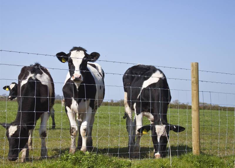 Farm Fence&Field Fence