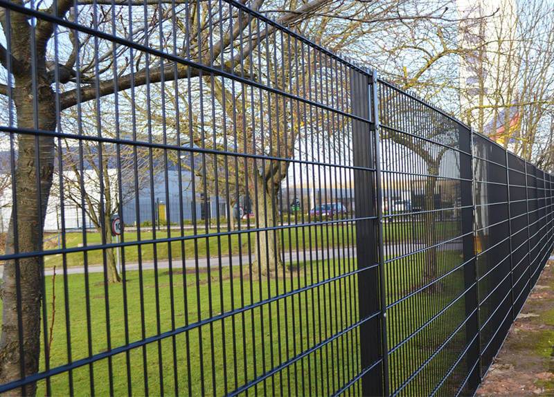 Double Wire Fencing