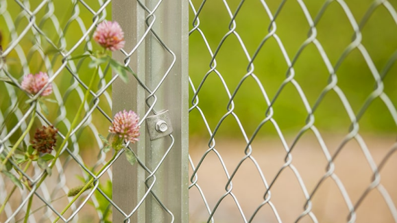 Two distinct processes of galvanized chain link fence