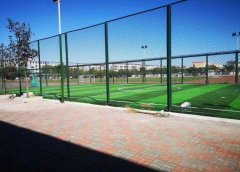 The beautiful PVC Chain link fence use as basketball court fence