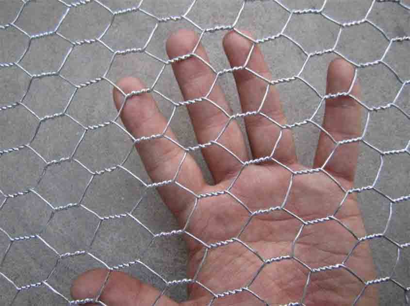 Creative Uses of Chicken Wire Mesh in DIY Projects