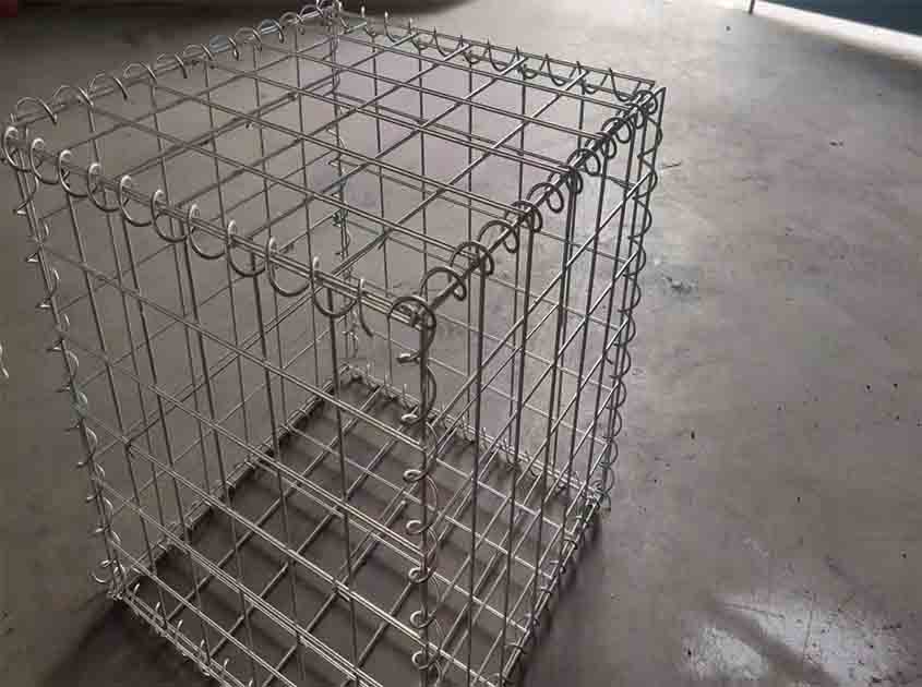 Galvanized Wire Mesh: A Reliable Defense Against Small Animals and Rodents