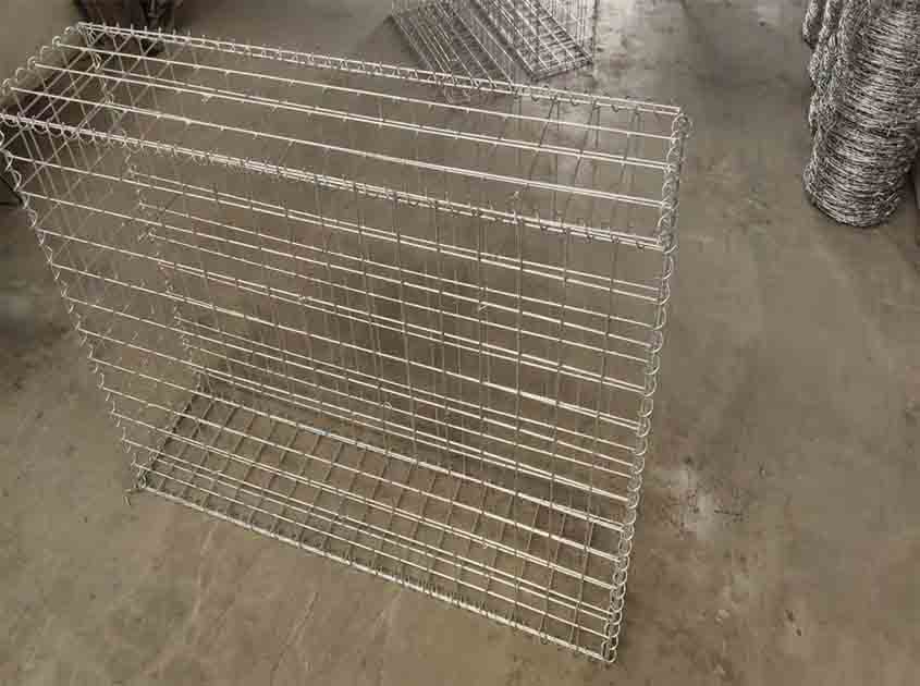 Galvanized Wire Mesh: A Reliable Defense Against Small Animals and Rodents