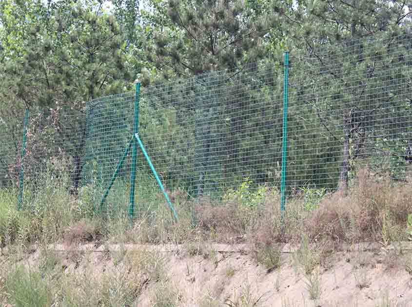 Can galvanized wire mesh be used for screening and insect protection