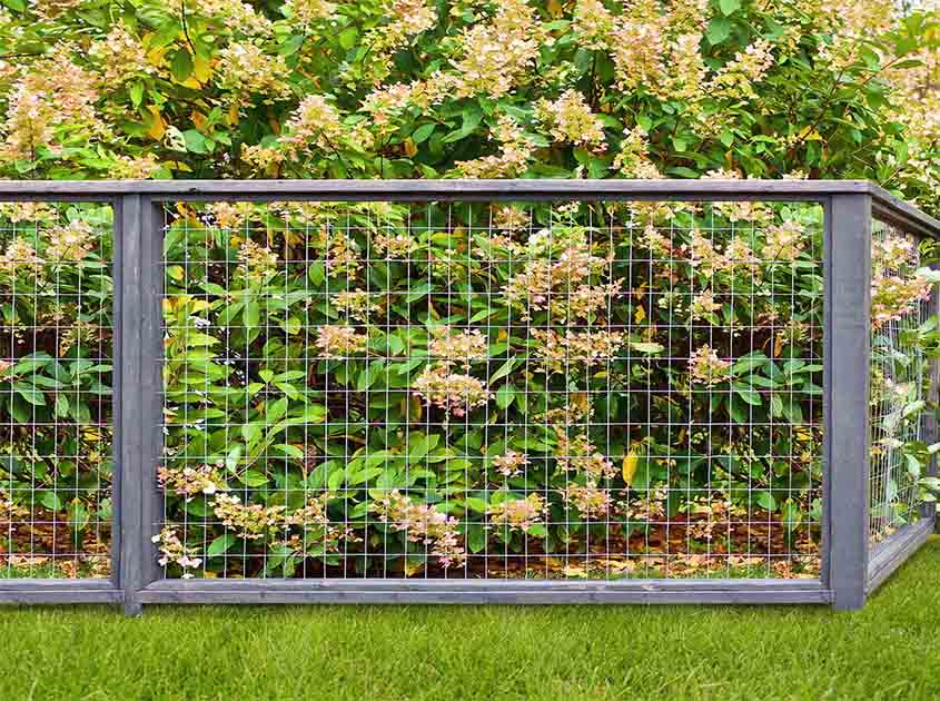 How does galvanized wire mesh perform in humid or moisture-rich environments