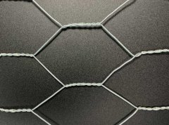 High-quality galvanized wire mesh - the first choice for industrial protection