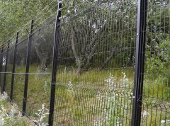 Welded Mesh Fence - A Multipurp